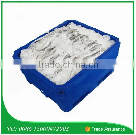 1000L Extra Large Storage Container for Fish, Fish Cooler, Fish Container for Fisheries photo-5