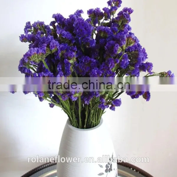 Kunming Flower Exporter Dark Red Statices Flowers for Home Decoration photo-5