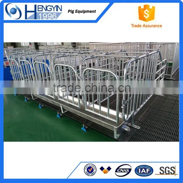 Pig Farm Pen Sow Gestation Crate photo-5