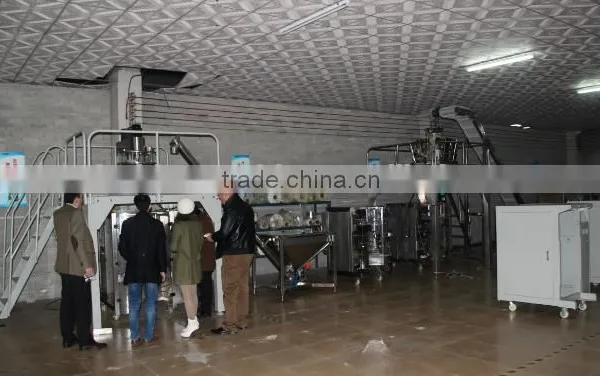 Best Quality Automatic Potato Chips Packing Machine Made in China VFFS Machine photo-2