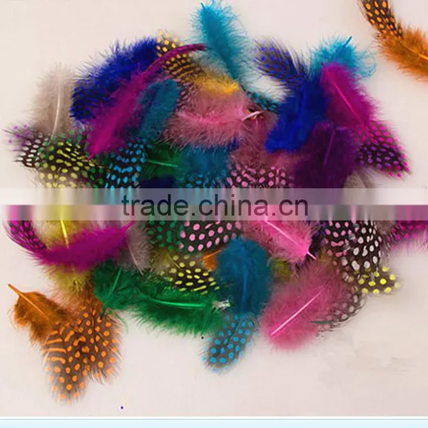 2016 The Colorful / Beautiful Pearl Feather photo-4