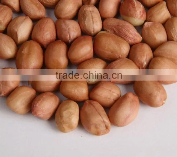 Java Peanuts Suppliers photo-2
