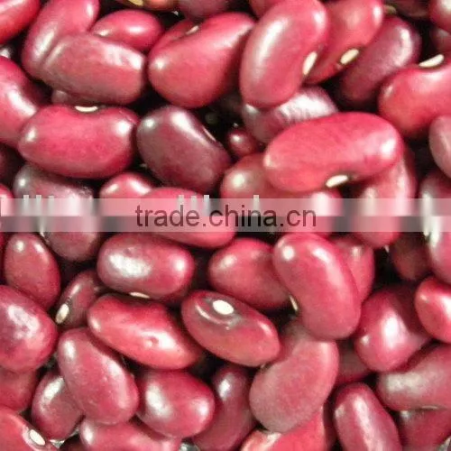 Kidney Beans