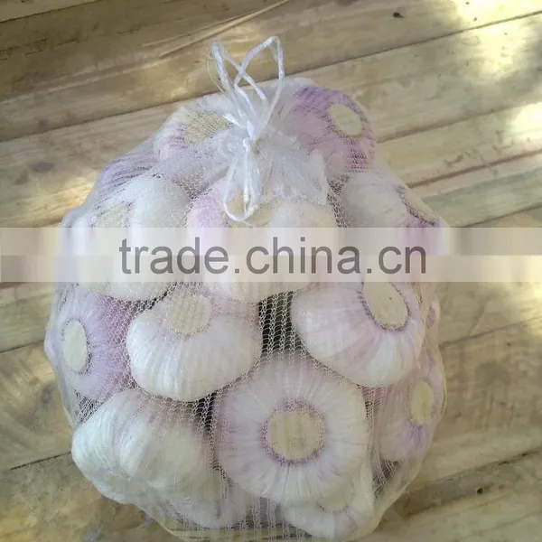 Hot sale Egyptian fresh garlic (Red, White) for export