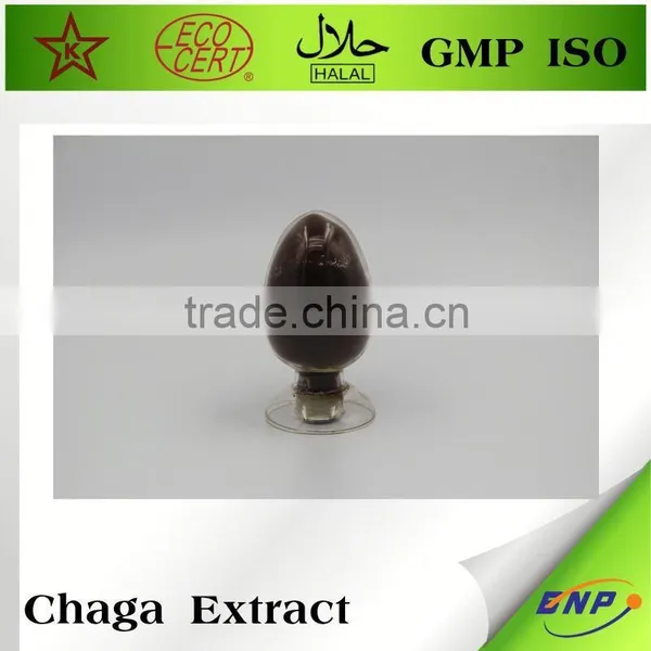 Wild Chaga Mushroom In Mushroom Extract photo-3