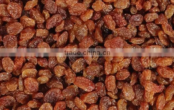 GOOD QUALITY INDUSTRIAL RAISIN BEST RATE photo-6