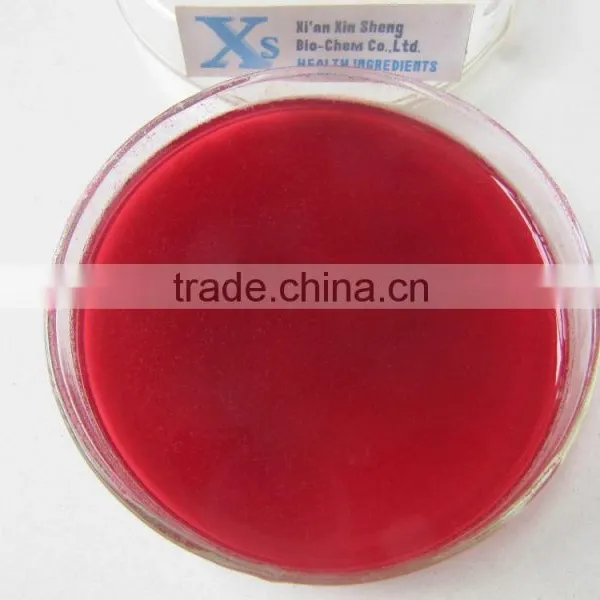 GMP Natural High Quality Water Soluble Hibiscus Extract Powder/Roselle Extract Powder photo-2