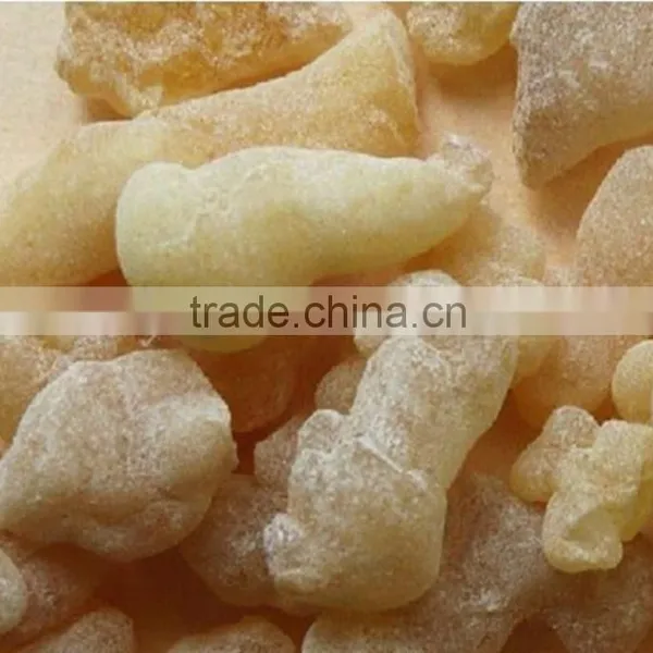 GMP Kosher Natural Boswellia Serrata Extract photo-2