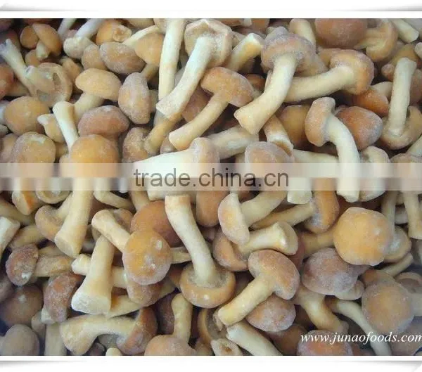 Health Food Mushroom