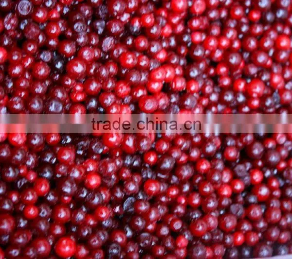 Frozen Lingonberry photo-2
