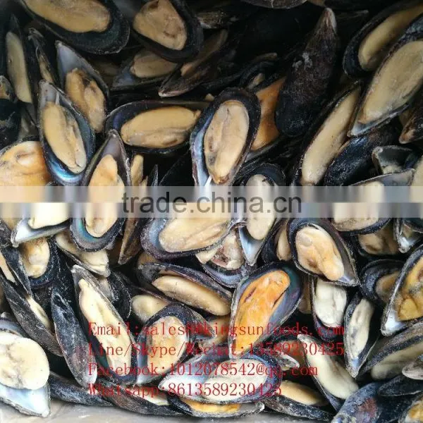 Good Quality Frozen Mussels (Mytilus Edulis) photo-3
