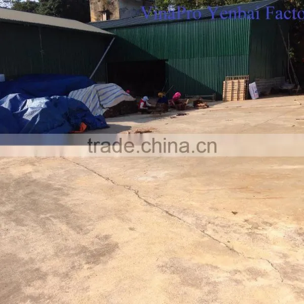 VIETNAMESE SUPPLIER OF BROKEN CINNAMON / CASSIA, GOOD QUALITY, COMPETITIVE PRICE photo-4