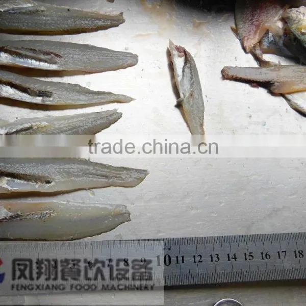 FGB-168 Automatic Fish Processing Machine ,small Yellow Croaker Filleting Machine With High Efficiency photo-5