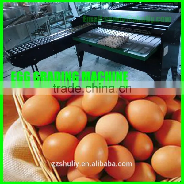 Low Price Egg Grading Machine photo-3