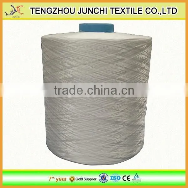 Colors High Tenacity PE Yarn Polyester Filament Yarn for Webbing photo-6