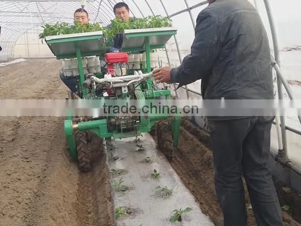 High Quality Vegetable Transplanter photo-4