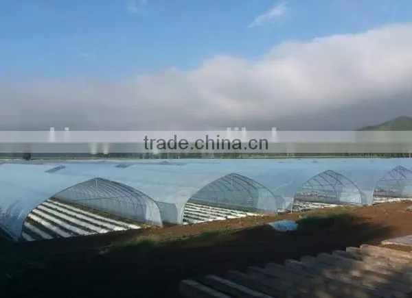 Light Trap for Greenhouse