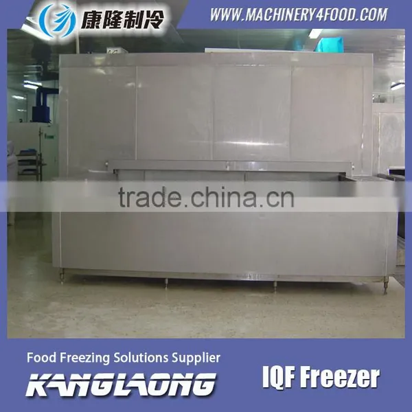 Large Output Freezing Plant With Good Quality photo-2