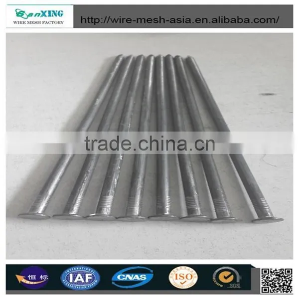 2017 Galvanized U Nail With Cut Point Factory photo-3