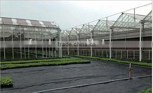 pp Spunbond Nonwoven Fabric Ground Cover Weed Control Mat photo-6