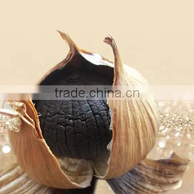 Zhengzhou Product Peeled Solo Black Garlic Packed With Organic Certificate
