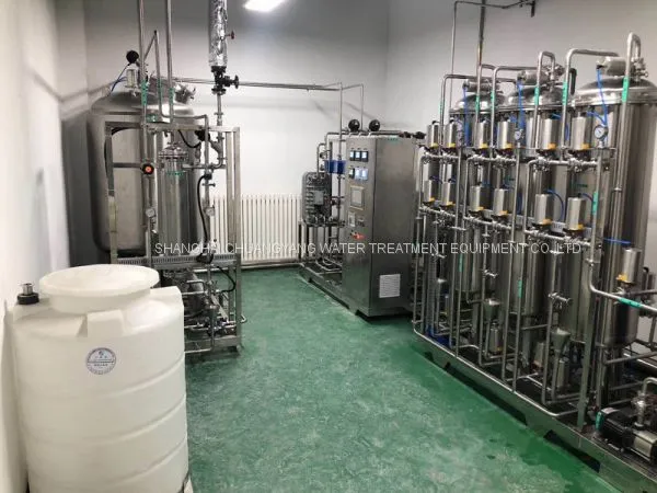 Pasteurization PW System , Pipe Loop, EDI for Pharmaceutical Equipment photo-4