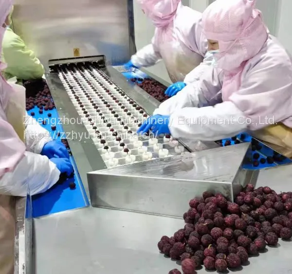 High Efficiency Automatic Fruit Pitting Machine Cherry Pitter Olive Pitter Machine for Fruit Processing Plants