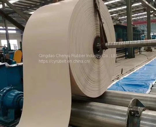 Food Grade White Conveyor Belt photo-5