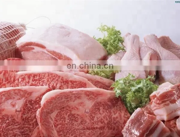 Instant Freezer of Fast Freezing Machine for Fish/meat/Seafood/chicken/pasta photo-4
