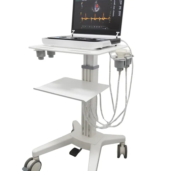 HJL-DY30 Professional Version of Small Animal Doppler Ultrasound Diagnostic Instrument