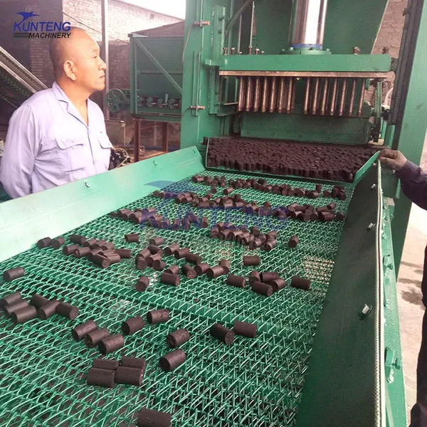 Briquettes Production Machine Sawdust Rice Husk Biomass Charcoal Making Machine Production Line EPC photo-5