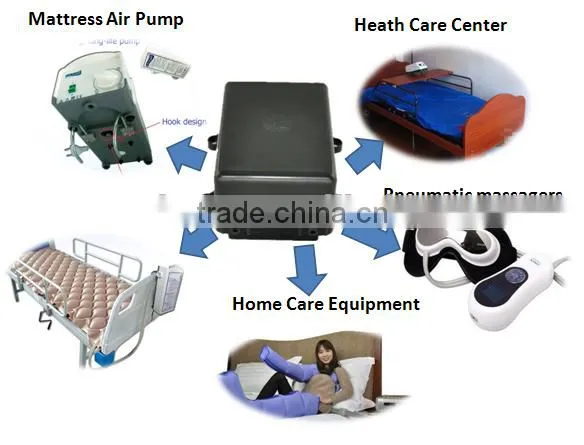 New Cheap Mini Electric Ozone High Quality Secondary Air Pump