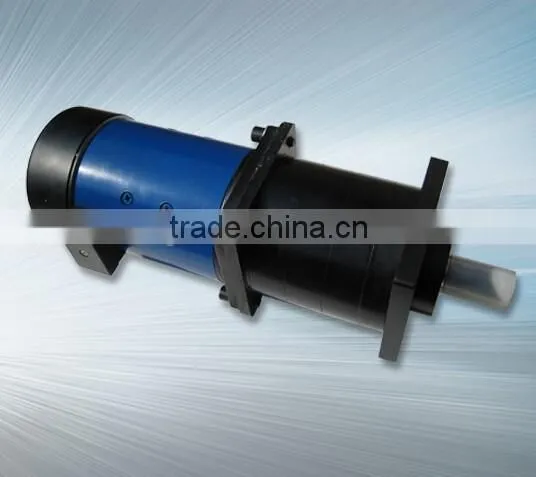 12V DC Planetary Gear Motor