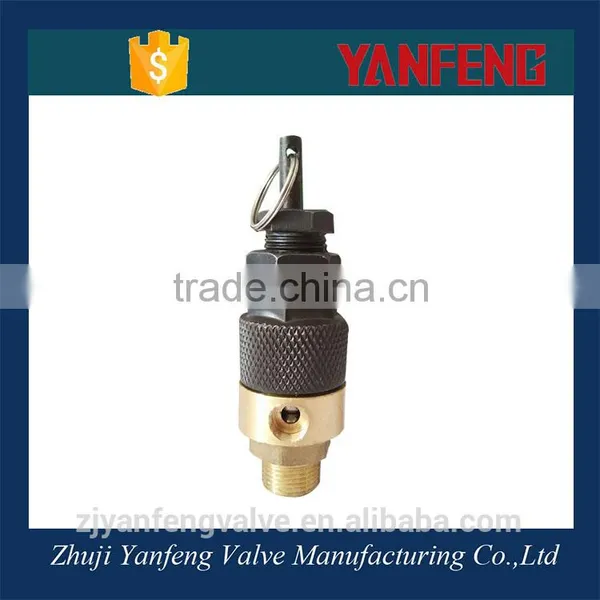 Made in China Brass Thread and Iron Body Pressure Control Valve Price photo-4