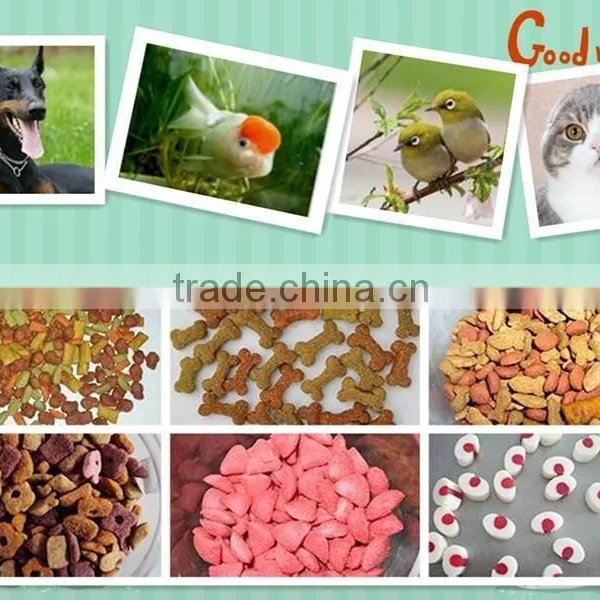 Dongxuya High Quality Fully Automatic Fish Feed Pellet Production Line photo-2