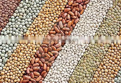 150kg Fast Food Equipment Textured Protein Mini Health Food Machine Factory photo-6