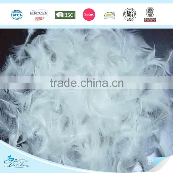 Washed White Duck Feather