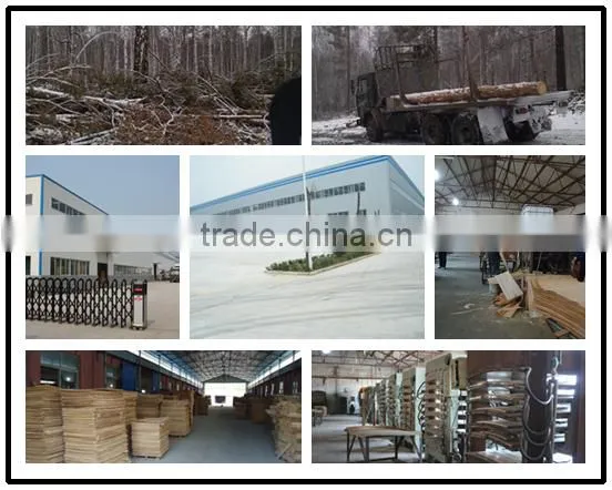 Poplar Birch Wooden Bed Slats E0 E1Grade Wooden Bed Slats FSC CARB Certification photo-5