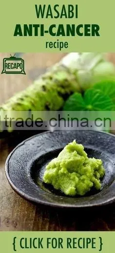 Tian Peng Wasabi Paste 43g New Style Wholesale Free Sample photo-3