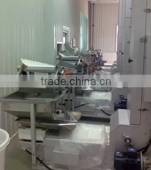 Z-type Bucket Lifter/elevator/conveyor for Snake photo-3