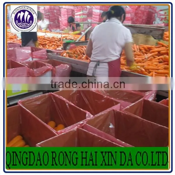Chinese Fresh Carot of 2016 Crop photo-2