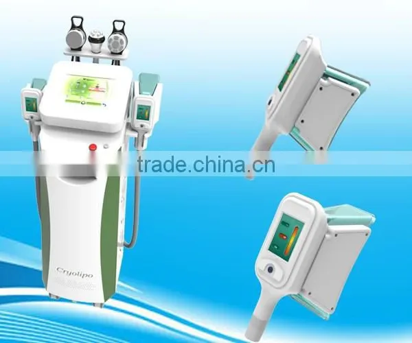 Vertical Cryolipolysis Fat Freezing Cryolipolysis Machine Weight Loss Beauty Spa/ Clinic For Sale Reduce Cellulite photo-2