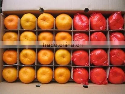 Chinese Fresh Citrus Orange Cheap Selling photo-2