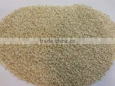 Sesame Seeds-Hulled