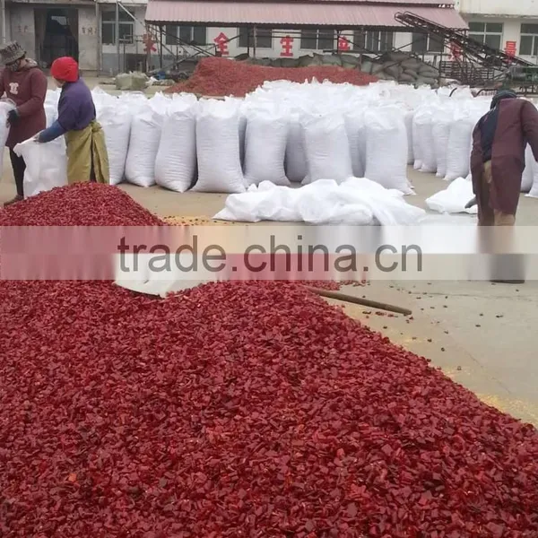 China Factory Supplier High Quality 8% Moisture High Impurity no Pesticide Residue Red Cutting Chilli Pepper Rings photo-4