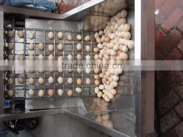 FT-200 High Capacity Boiled Chicken Hen Egg Shelling Breaking Peeling Machine photo-4