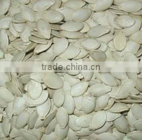 Shine Skin Pumpkin Seeds 9cm