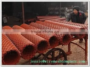 High Quality and Best Price Pvc Coated Expanded Metal Mesh photo-2