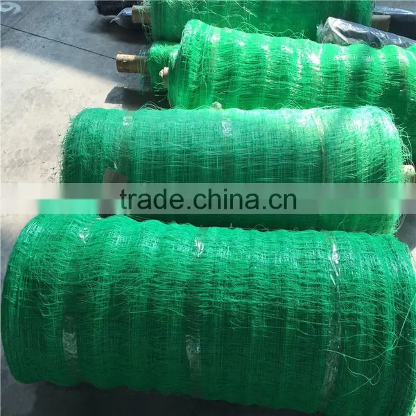 Plant Climbing Plastic Net photo-2