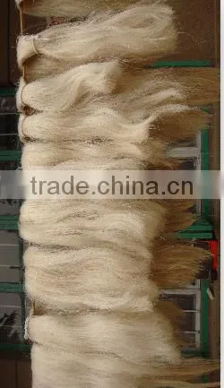 Horse Hair Tail and Horse Tail Hairs for Jewelry photo-3